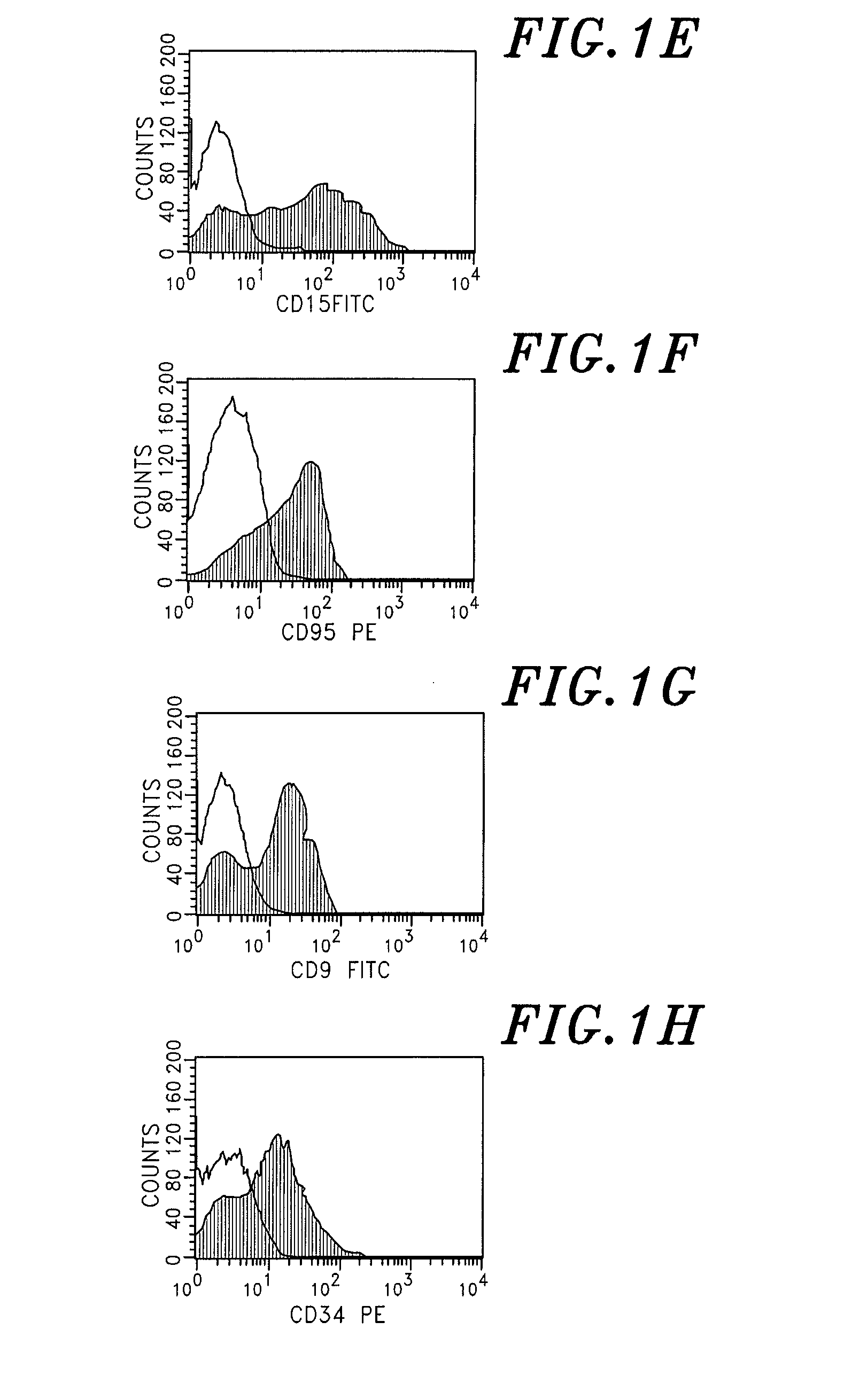 Isolation of neural stem cells using gangliosides and other surface markers