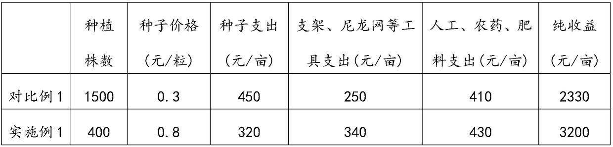 Frame erecting device, frame erecting method and planting method for promoting early high yield of bitter gourd