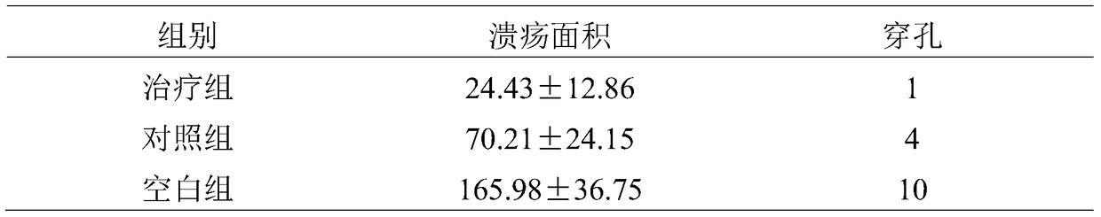 A kind of traditional Chinese medicine composition for treating chronic gastritis and its application