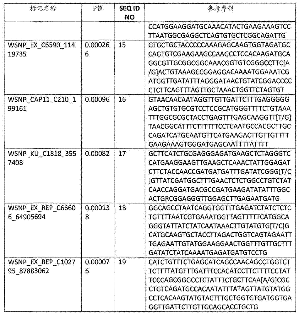 Molecular markers for various traits in wheat and methods of use
