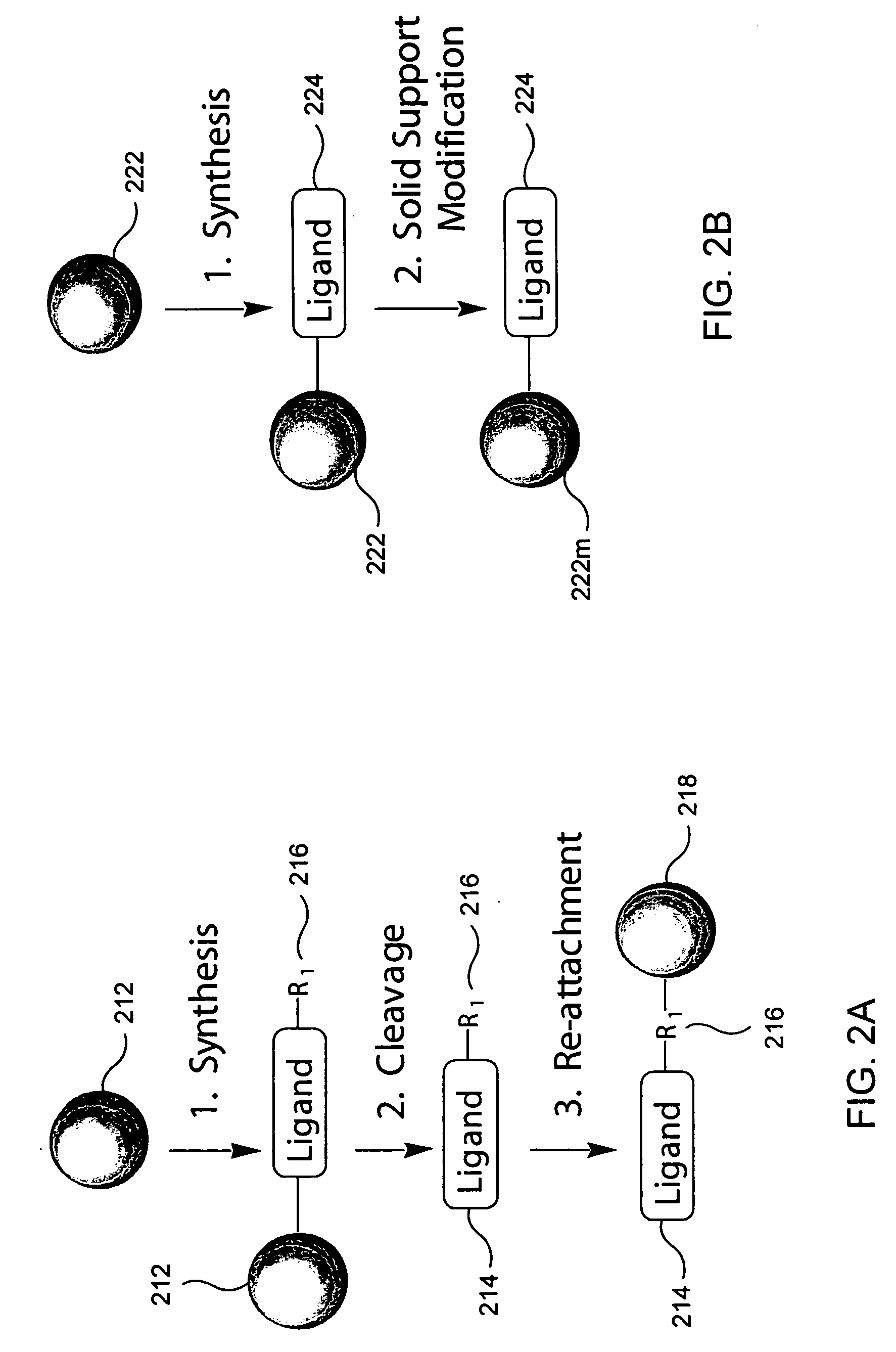 Biological sample component purification and differential display