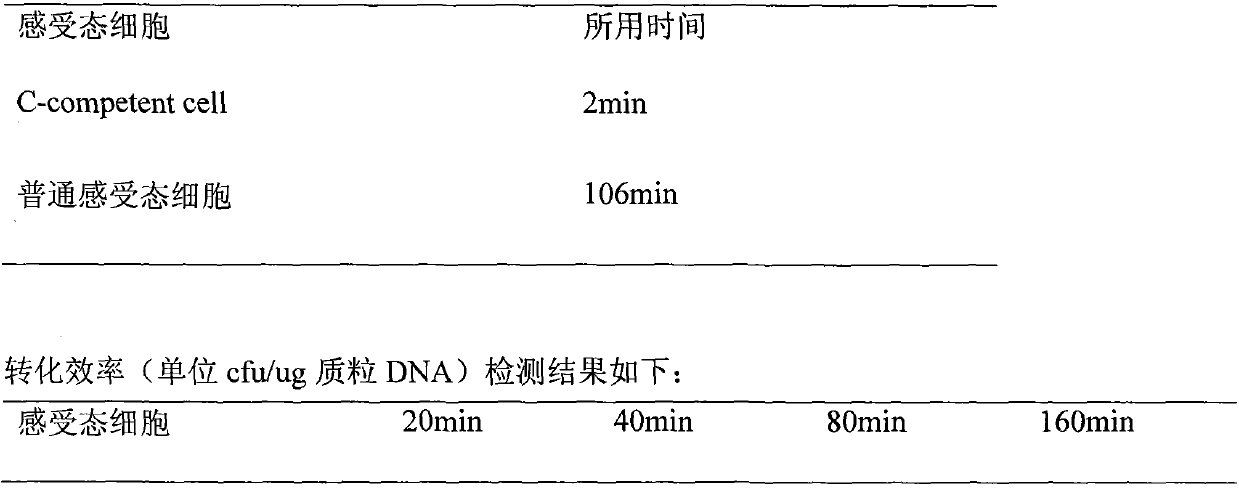 Method for preparing novel competent cell and transformation step thereof