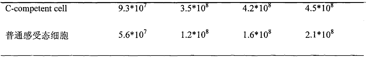 Method for preparing novel competent cell and transformation step thereof