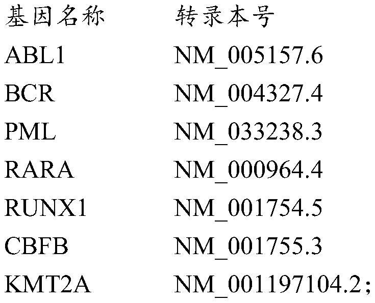 Targeting capture probe of tumor fusion gene and application thereof