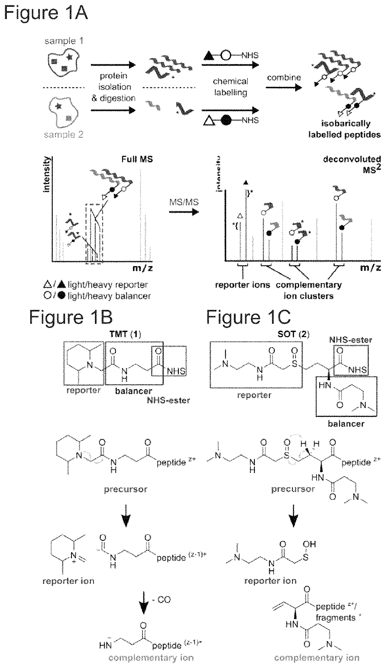 Sulfoxide-based reagent for mass spectrometry