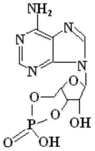 Meglumine adenosine cyclophosphate powder injection medicine composition for injection and preparation method thereof