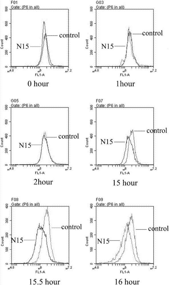 Application of N15 polypeptide in preparing fungal inhibitor