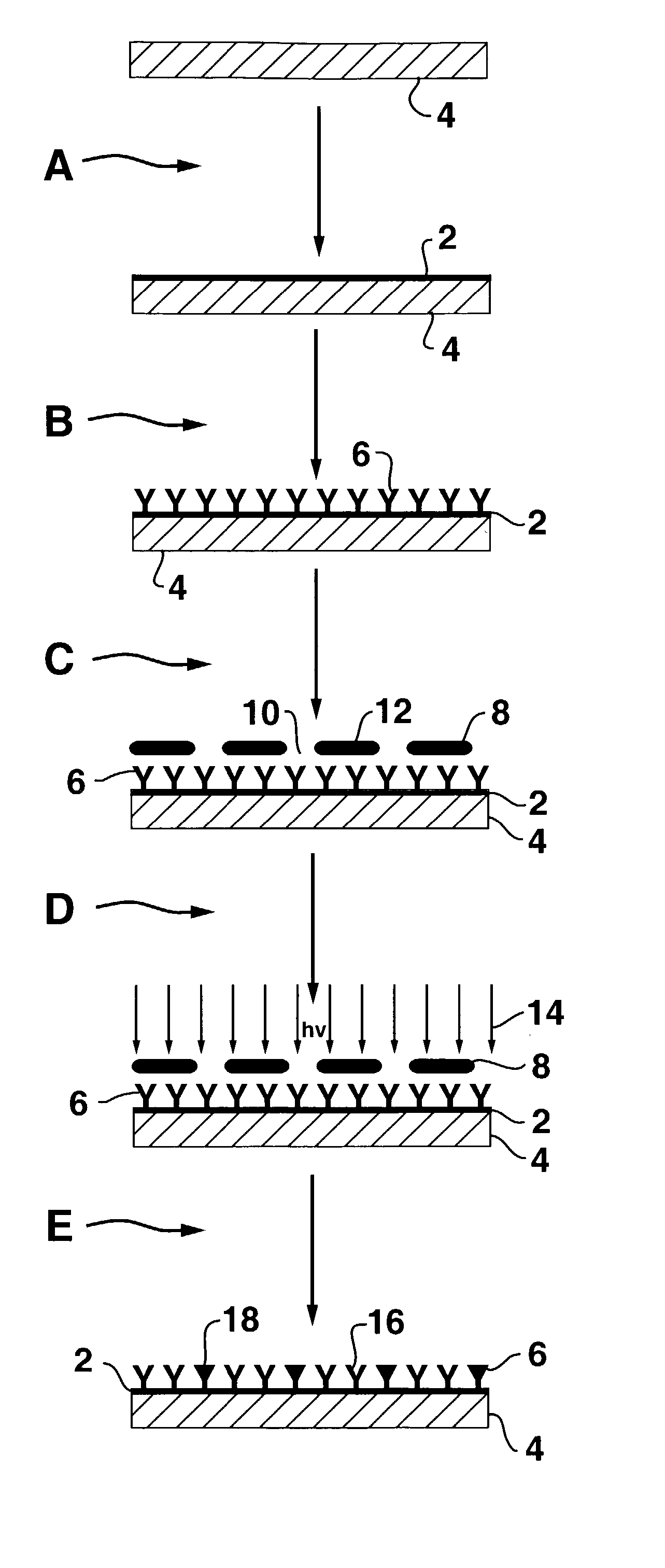 Biomolecule diagnostic devices and method for producing biomolecule diagnostic devices