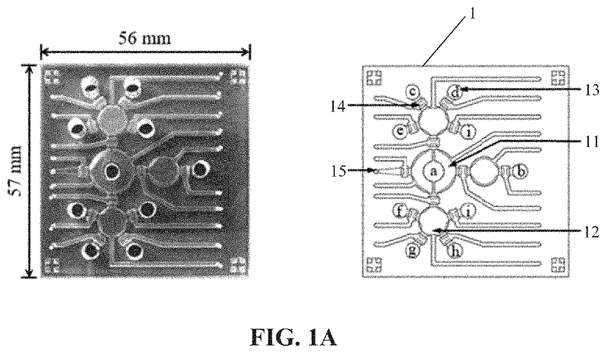 Method for detecting cholangiocarcinoma cells