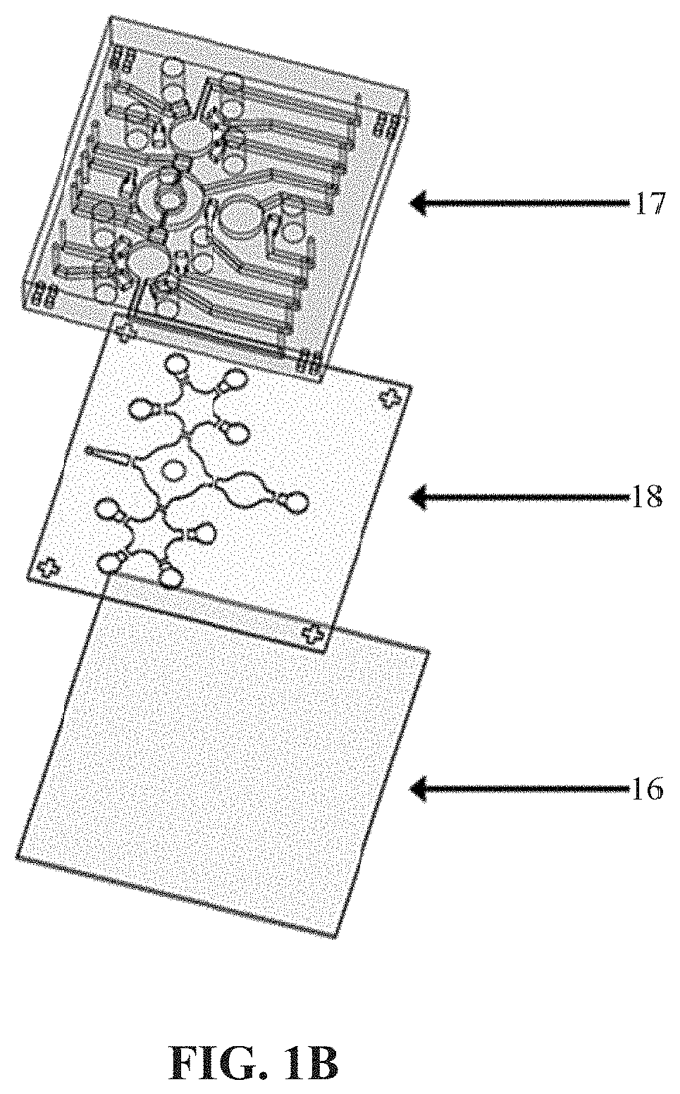 Method for detecting cholangiocarcinoma cells