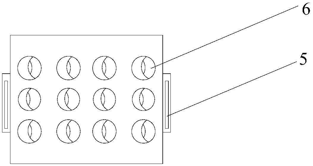 An anti-borer experimental device suitable for multi-variety sugarcane anti-borer identification method