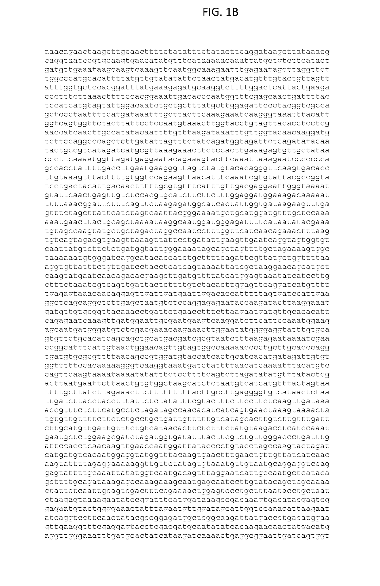 Modified gene conferring virus resistance