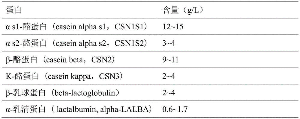 Codon optimized beta-galactosidase gene and application thereof