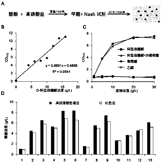 Construction and application of genome rearrangement technology of a sugar alcohol-producing yeast strain