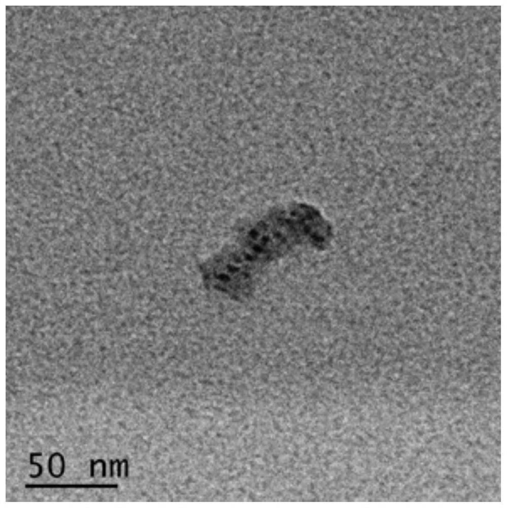 Ferrocene functionalized nano-catalyst as well as preparation method and application thereof