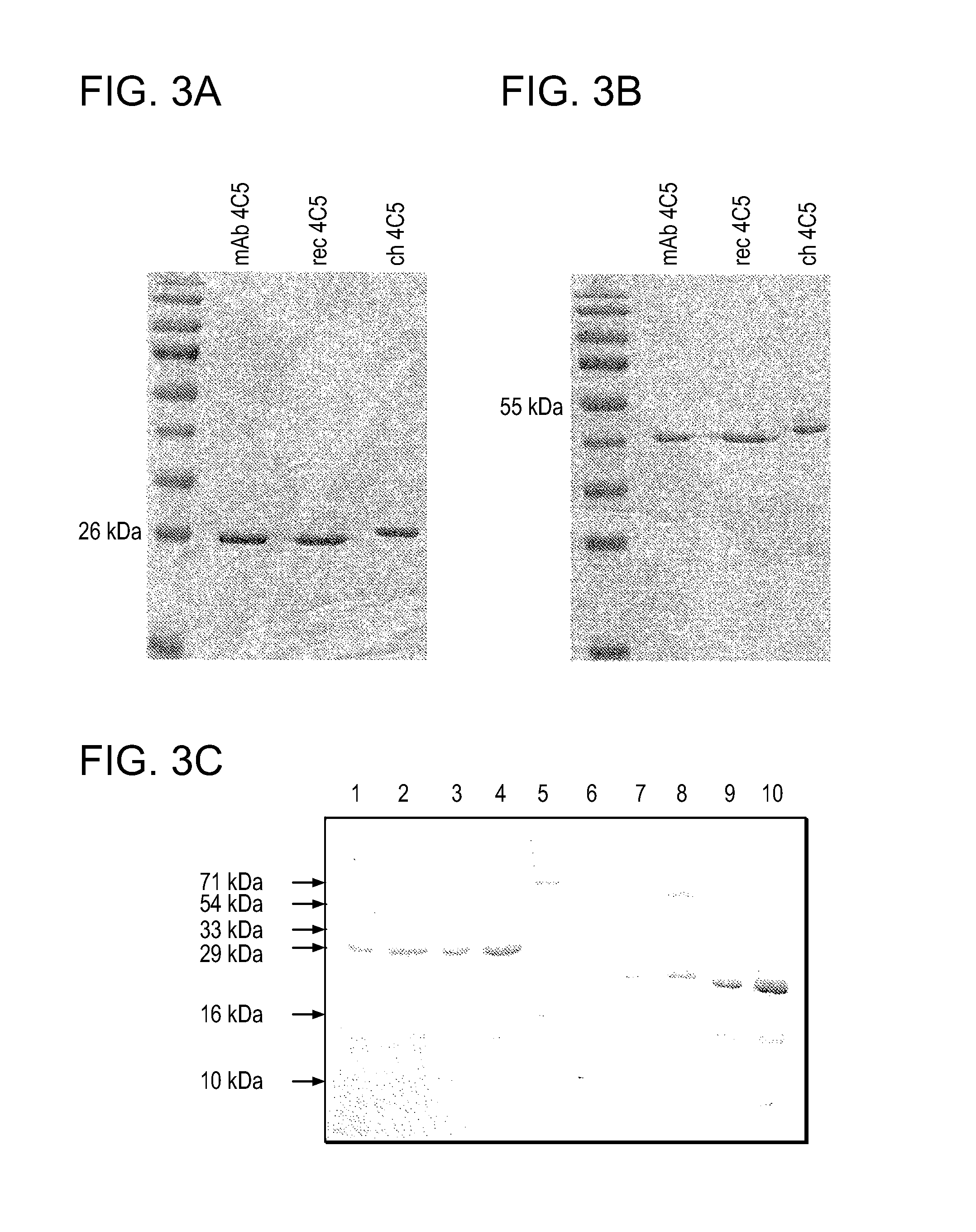 Compositions and methods for treating neoplasia