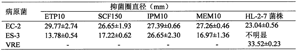 A Coptidis endophytic bacterium that inhibits intestinal conditional pathogenic bacteria attached to fresh vegetables and its application