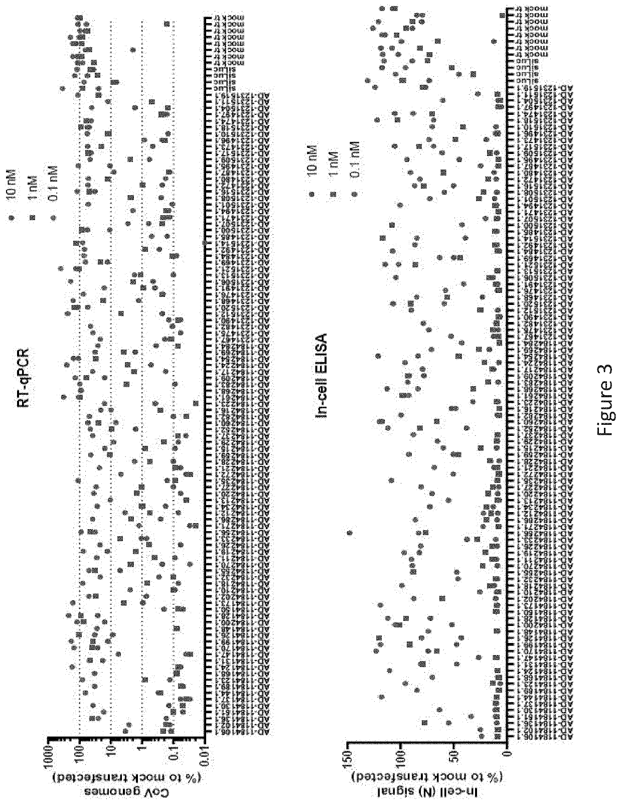 Coronavirus irna compositions and methods of use thereof