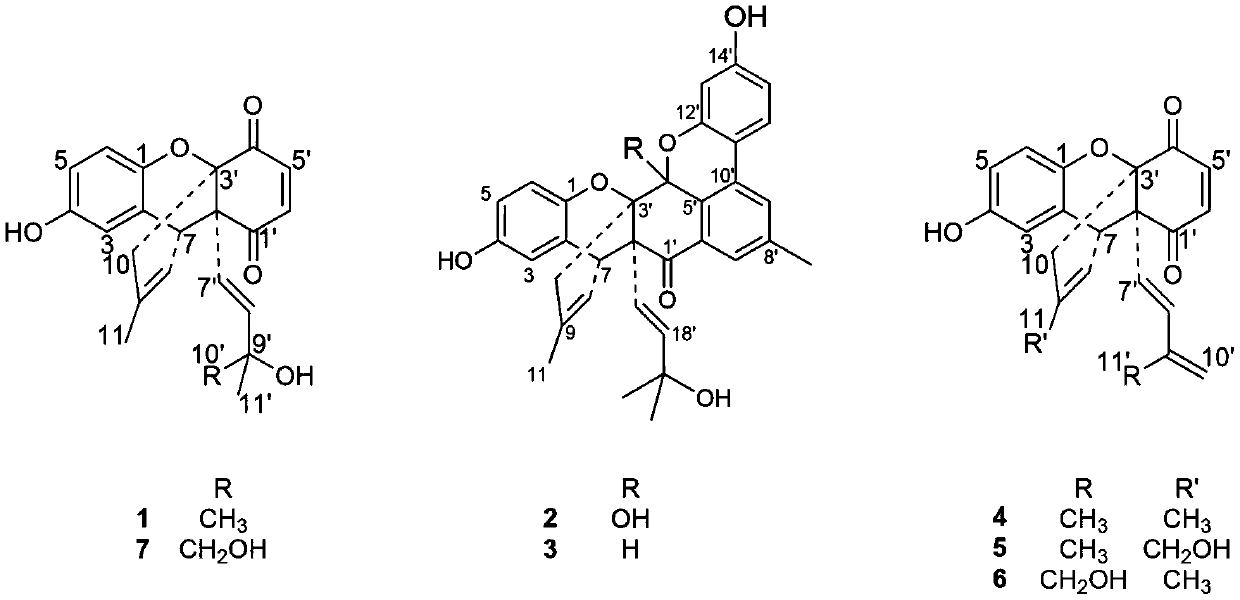 Benzoquinone derivatives as well as preparation method and application thereof