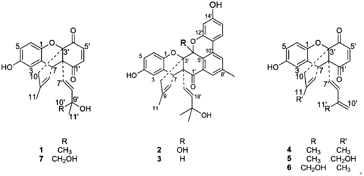 Benzoquinone derivatives as well as preparation method and application thereof