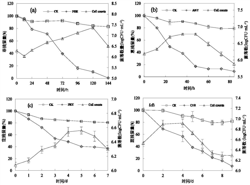 A rhizosphere growth-promoting bacterium phe-2 with pahs degrading ability and its application