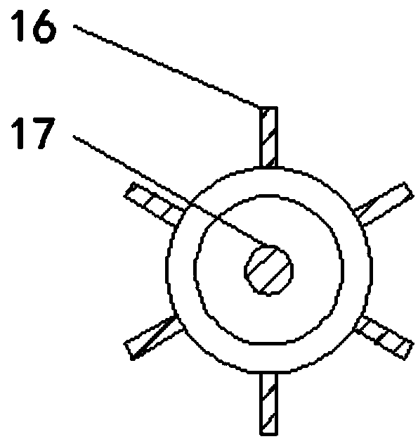 Green soy bean cleaning device