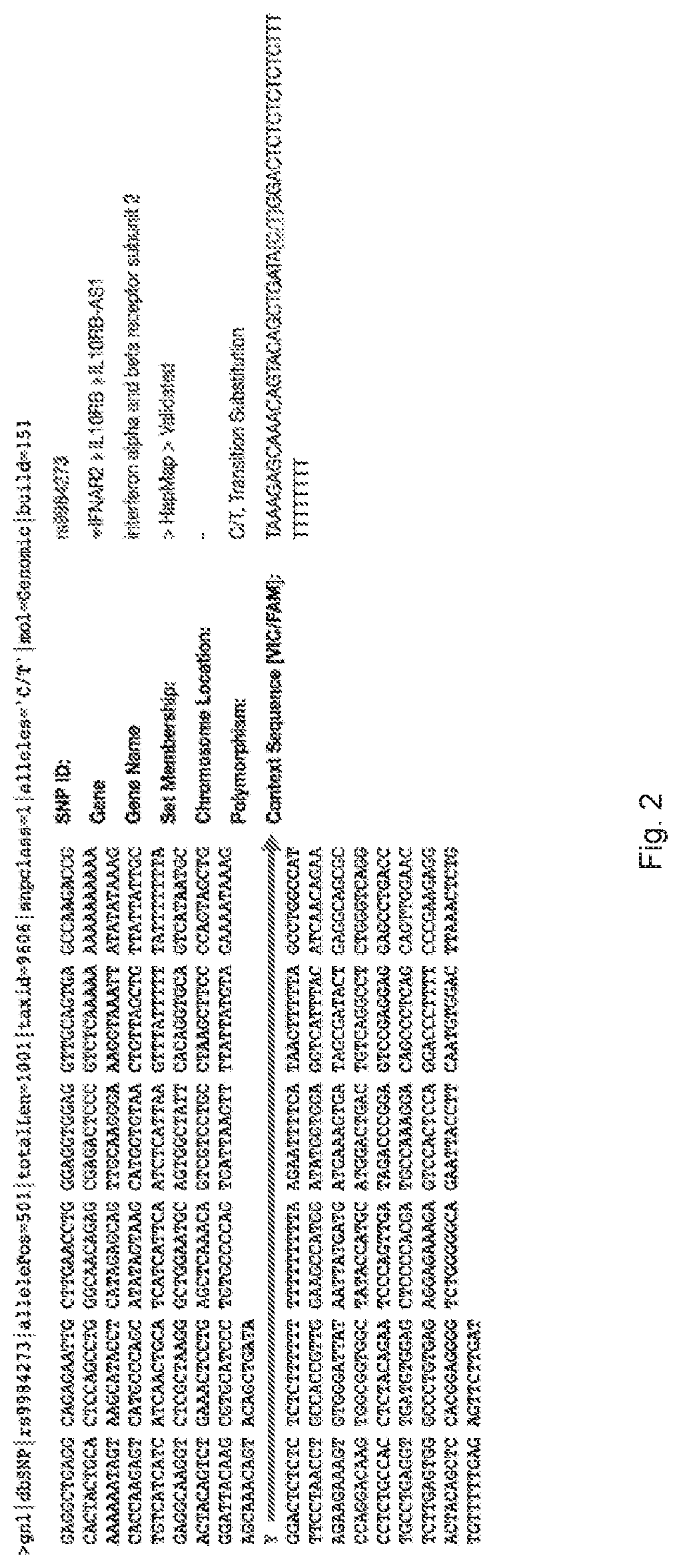 Method for determining patient's responsiveness to type 1 interferon   treatment and use of type 1 interferon to treat patient having specified single nucleoide polymophism