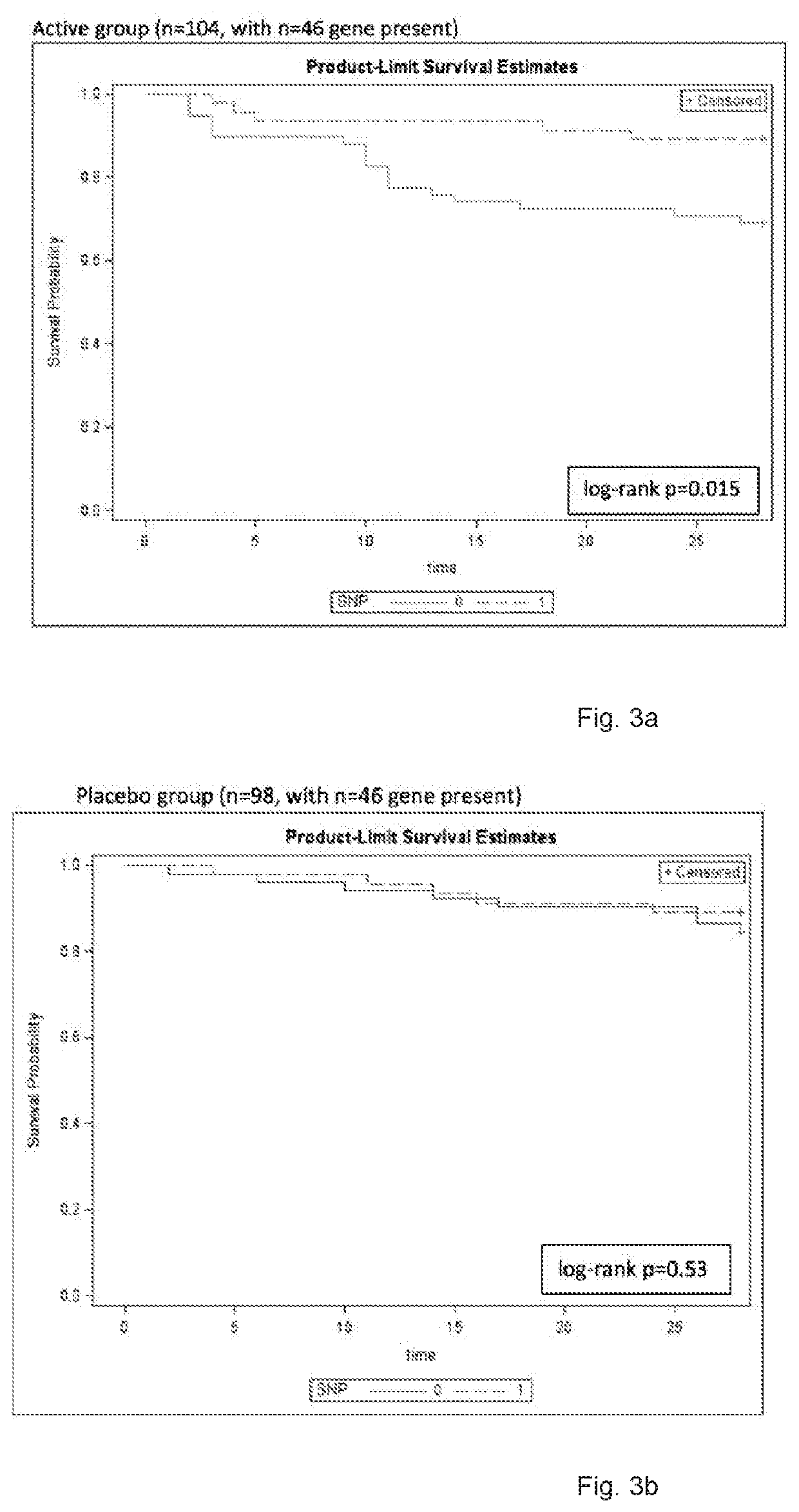 Method for determining patient's responsiveness to type 1 interferon   treatment and use of type 1 interferon to treat patient having specified single nucleoide polymophism