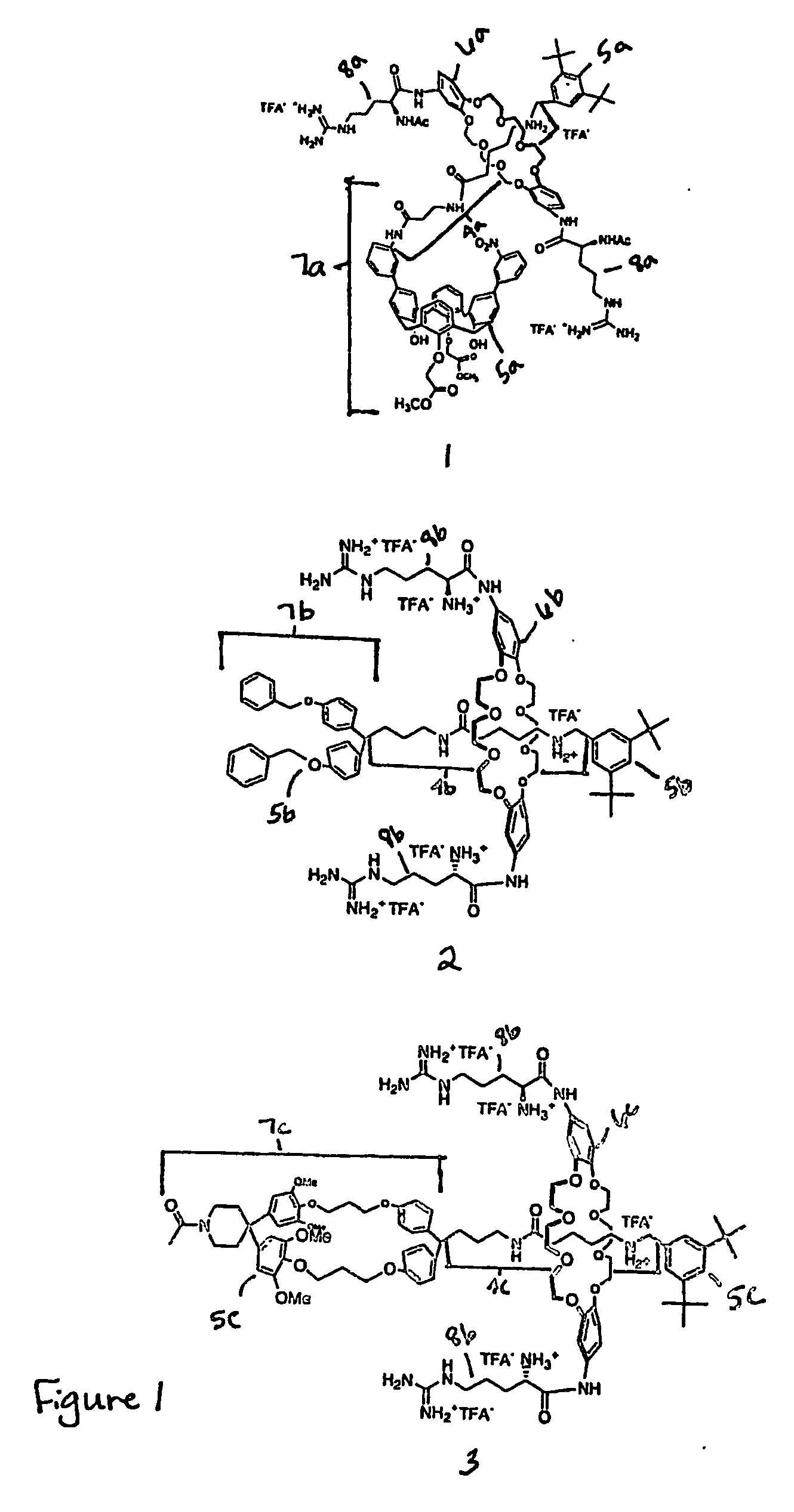 Compositions and methods for targeted drug delivery