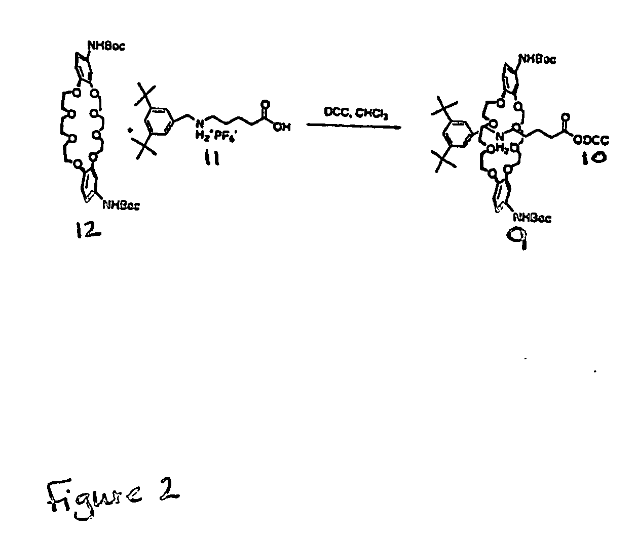Compositions and methods for targeted drug delivery