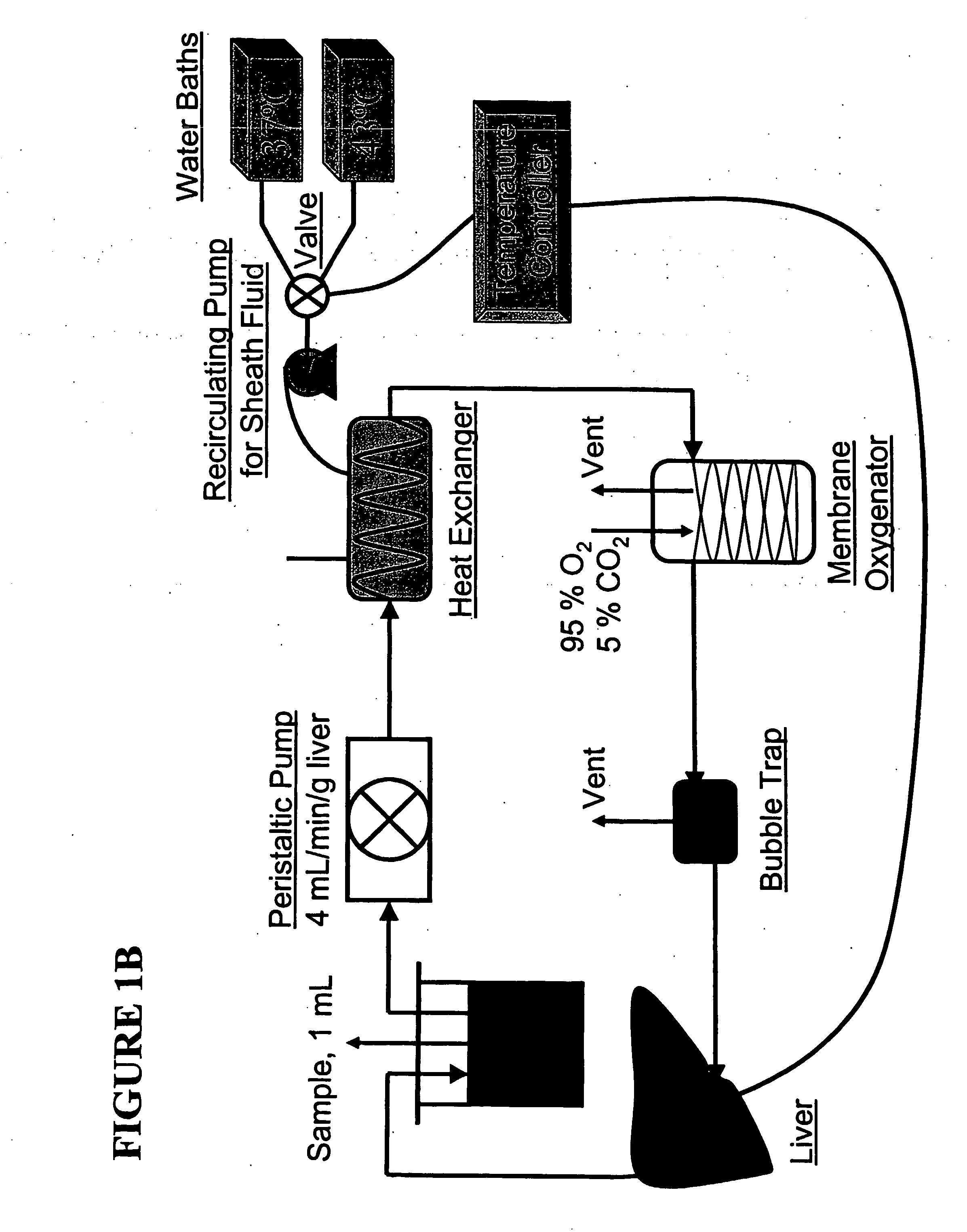 Compositions, solutions, and methods used for transplantation