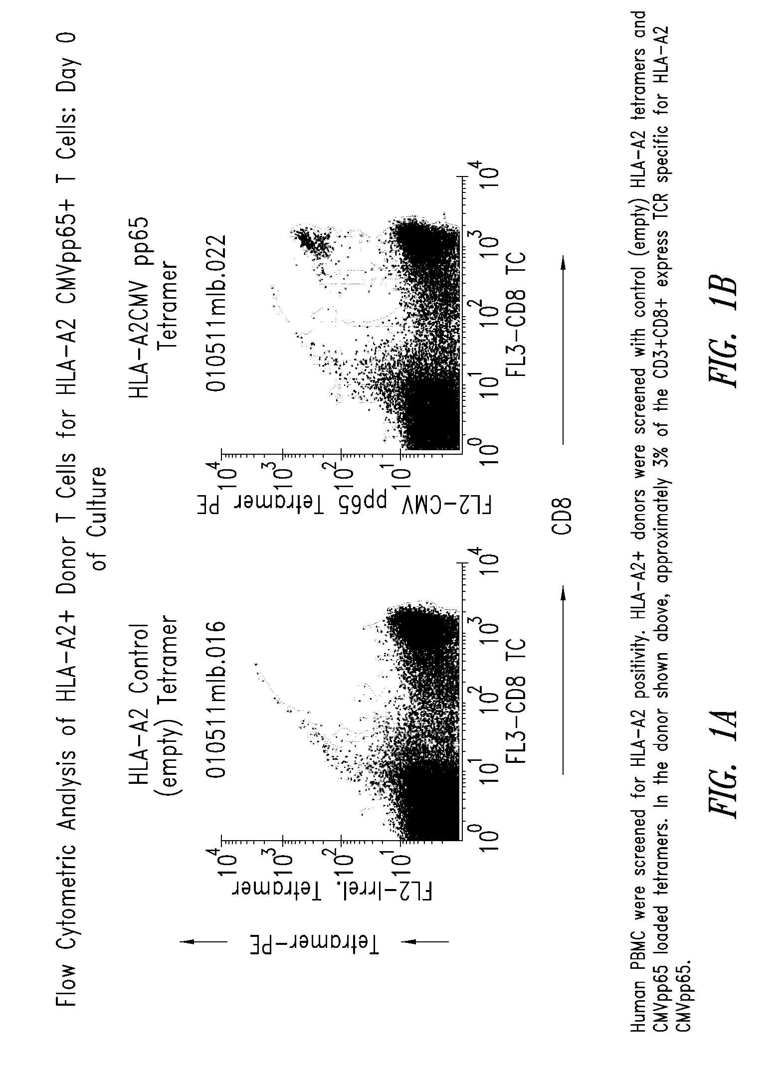 Compositions and methods for eliminating undesired subpopulations of t cells in patients with immunological defects related to autoimmunity and organ or hematopoietic stem cell transplantation