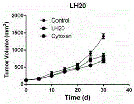 Novel p-methoxybenzyl-benzamide type compound for regulating estrogen-related receptor activity and medical use thereof
