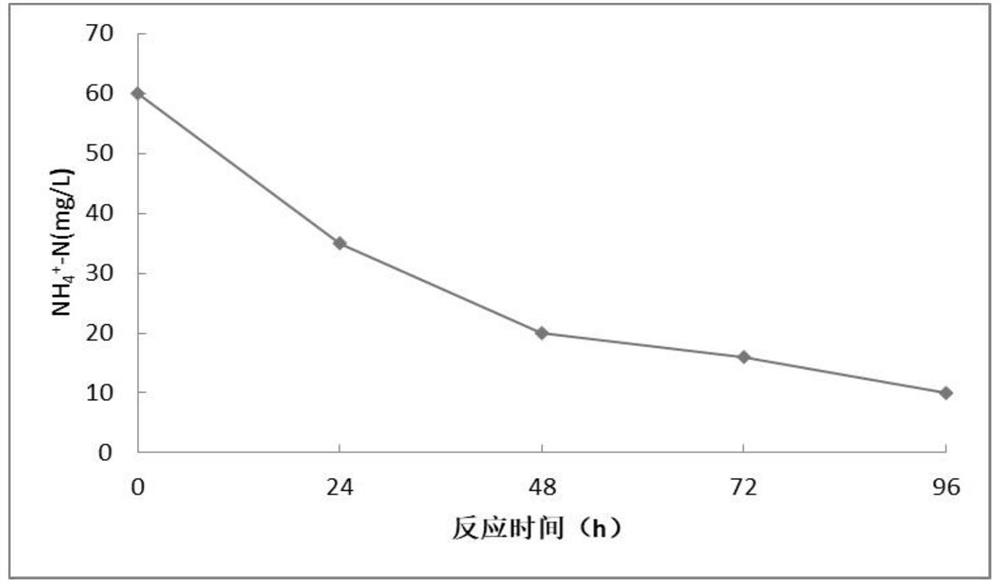 Halomonas with nitrification and denitrification effects and application thereof