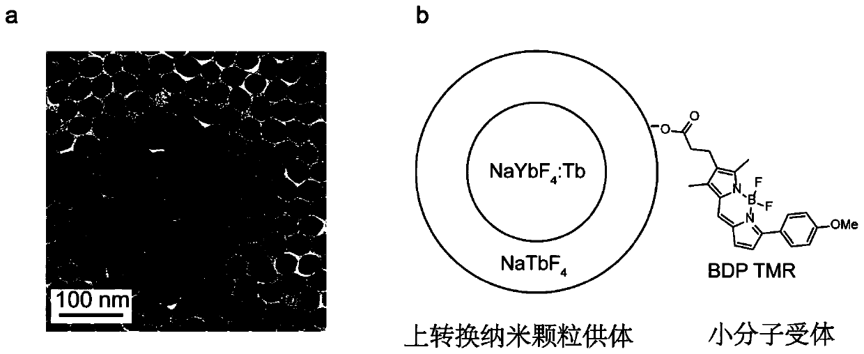 Method for increasing energy transfer efficiency of rare earth ion-nano material