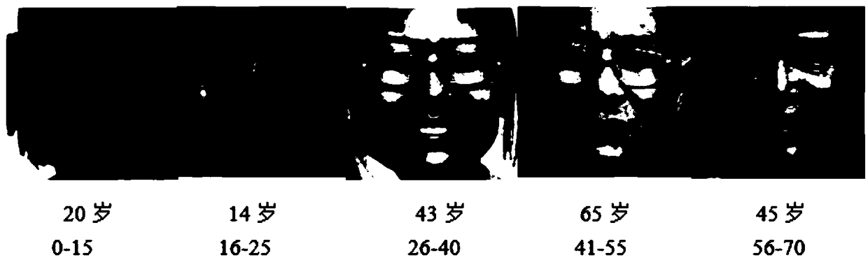 Deep network migration learning method facing a marked noise apparent age database