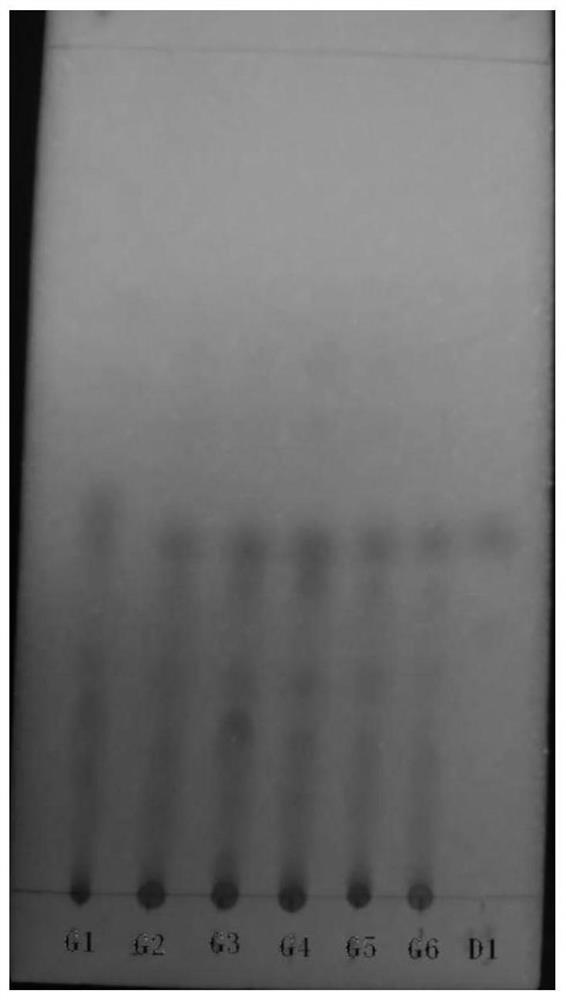 Method for identifying podophyllotoxin in sinopodophyllum hexandrum by thin-layer chromatography