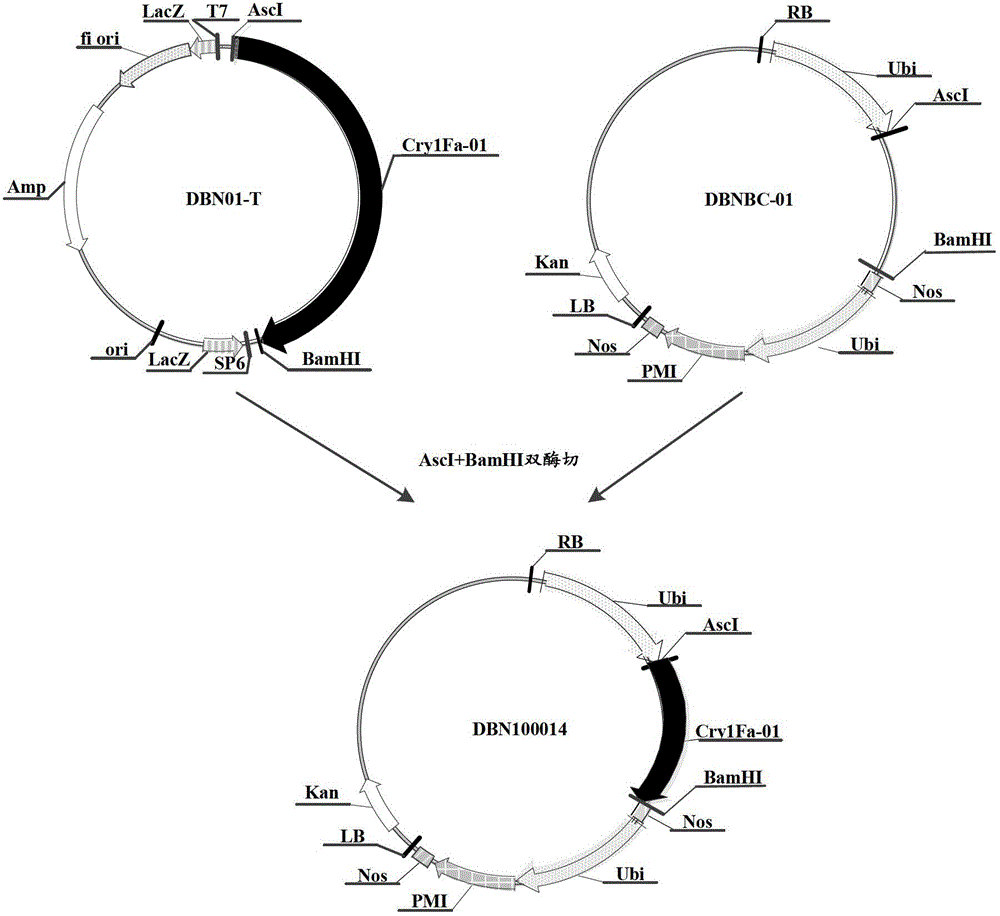 Methods of Controlling Pests