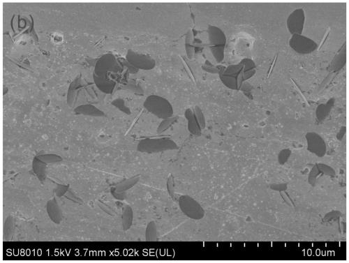 A kind of high (001) surface flaky zirconia and its preparation method