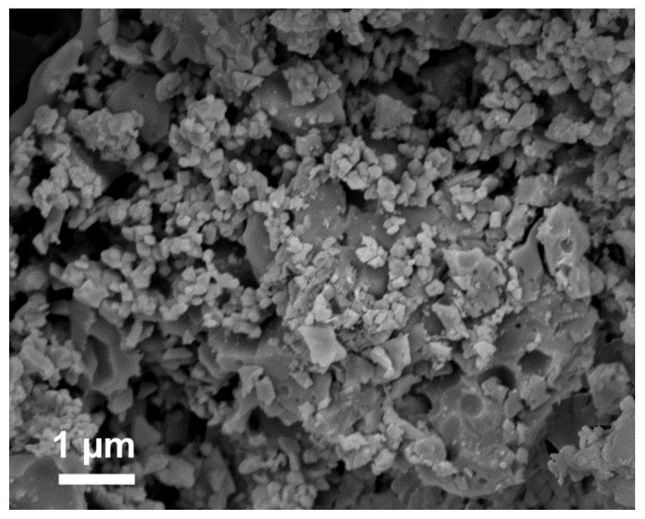 Phosphate positive electrode material and preparation method and application thereof