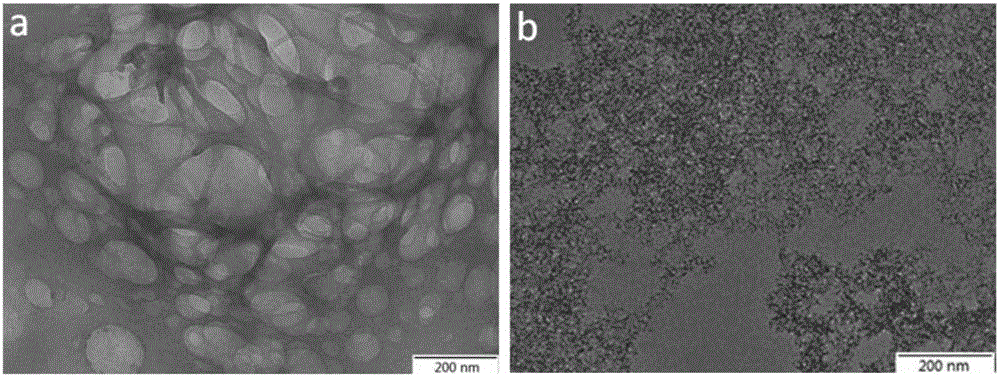 Super-oleophilicity hydrophobic material and preparation method and application thereof