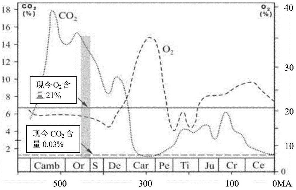Gypsum salt-carbonate reservoir rock supergene karst effect quantitative evaluation method and device