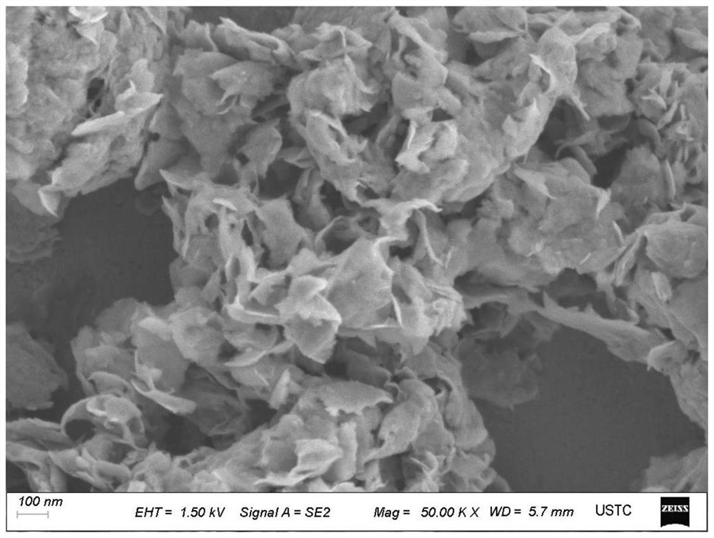 Molybdenum disulfide nanosheet, preparation method and application thereof and method for degrading halogenated antibiotics through electrochemical reduction