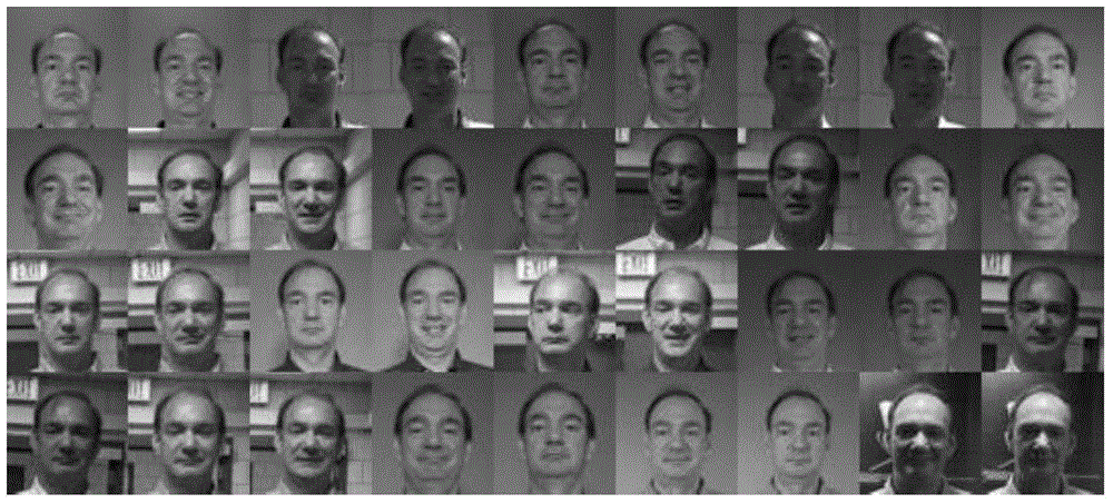 Multicore dictionary learning-based color face recognition method
