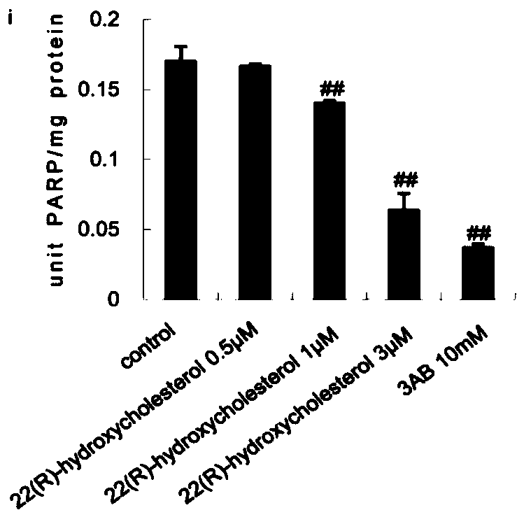 Use of 22(r)-hydroxycholesterol as a PARP1 inhibitor