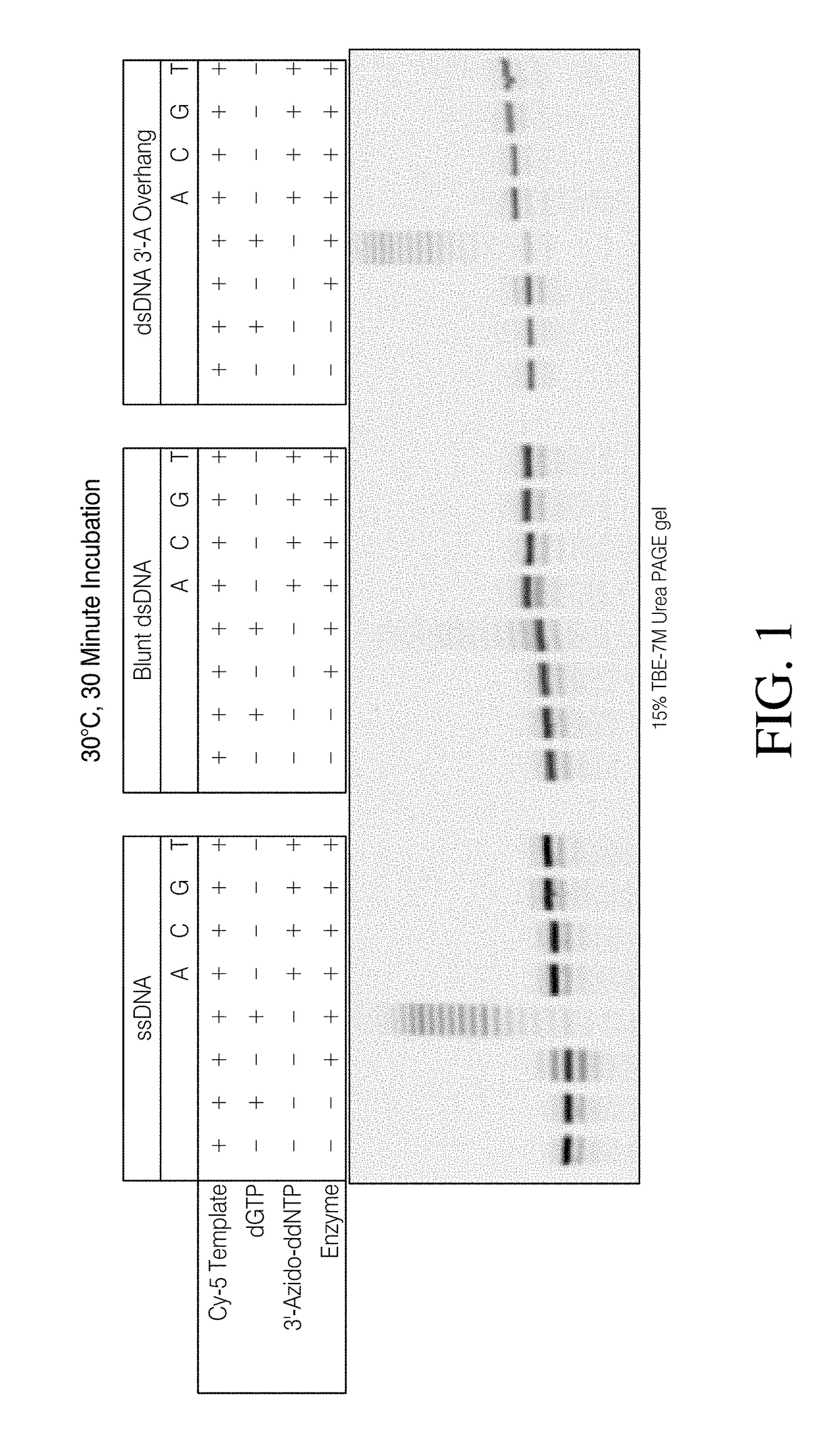 Methods for chemical ligation of nucleic acids