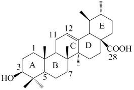 Ursolic acid derivative and preparation method thereof