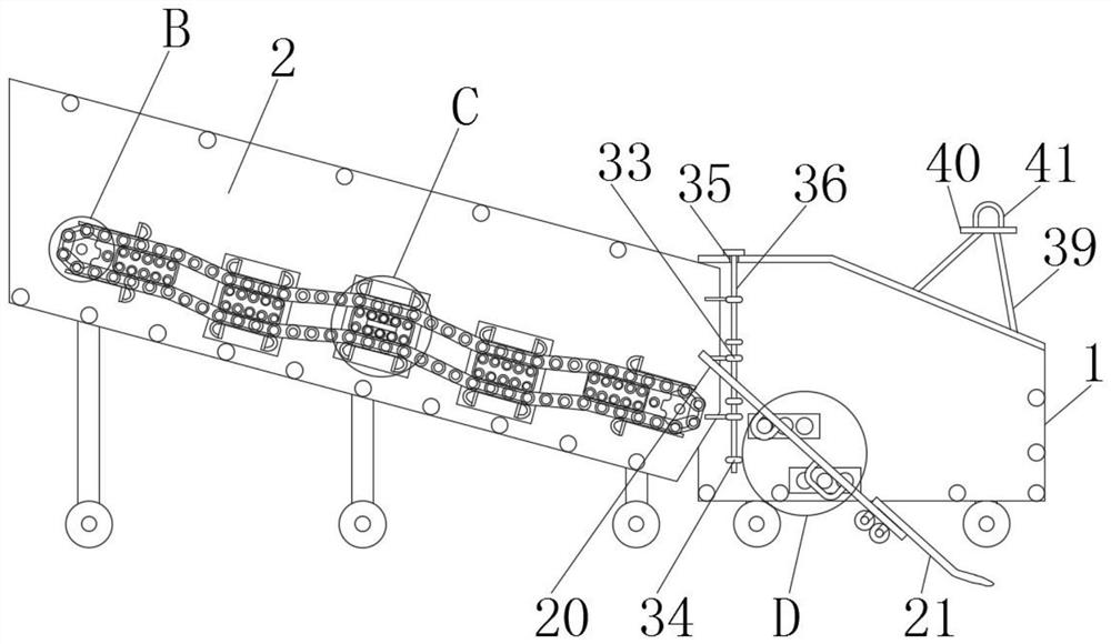 Automatic soil removing and potato digging machine