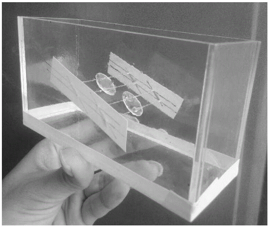 Preparation method of highly brittle transparent rock-like material specimen