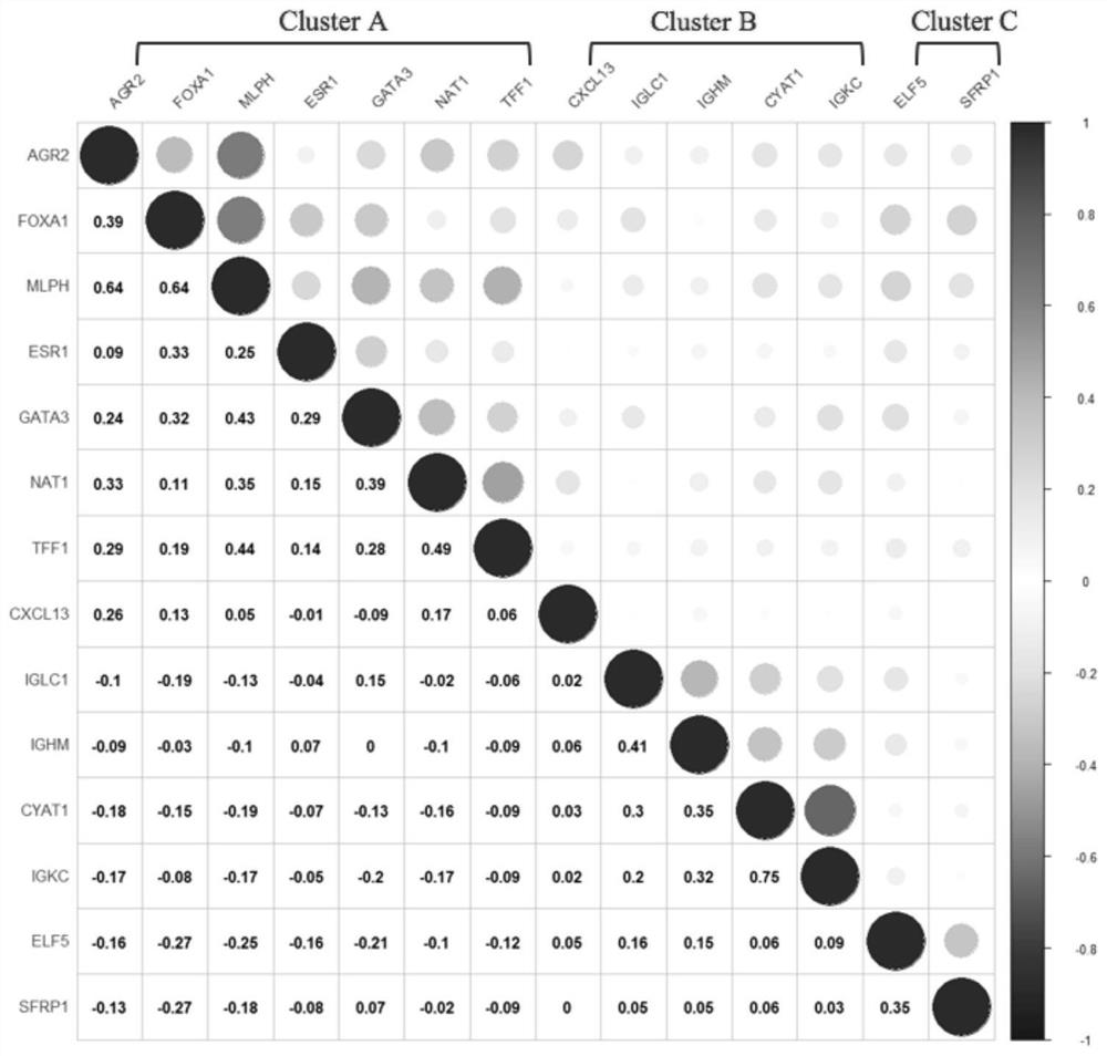 Application of reagents for detecting gene expression levels and construction method of nac curative effect prediction model for breast cancer patients